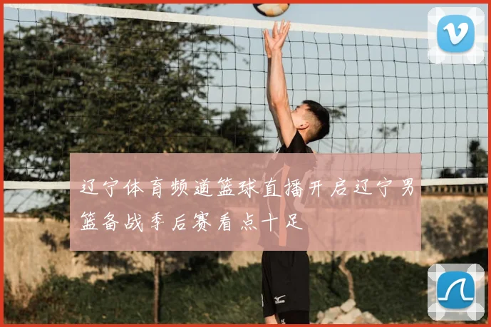 辽宁体育频道篮球直播开启辽宁男篮备战季后赛看点十足