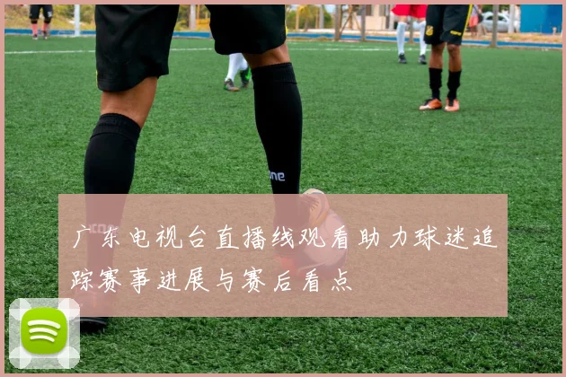 广东电视台直播线观看助力球迷追踪赛事进展与赛后看点