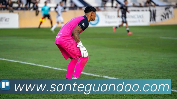 世界杯官方网络平台服务体系