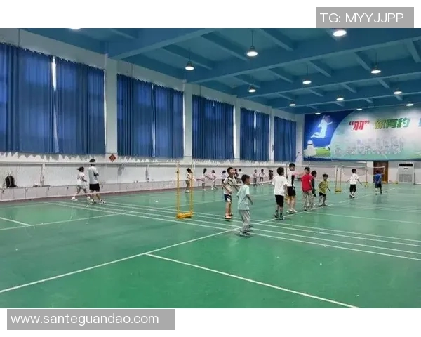 羽毛球的梦想与奋斗重庆羽毛球队成长历程全景纪实