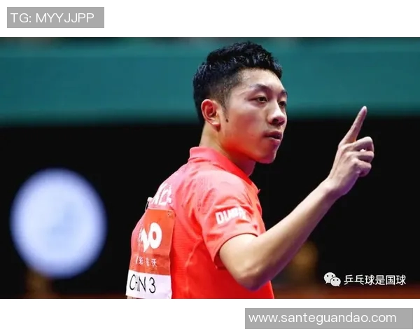 对话杨强：回顾乒乓球生涯的辉煌与挑战以及未来展望