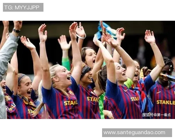 南京排球队灵活性分析与战术创新的深度探讨