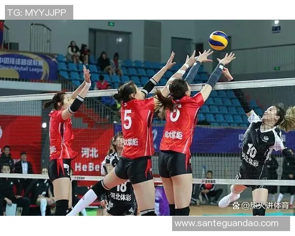 广州排球队灵活性创新高引发全国关注展现新风貌