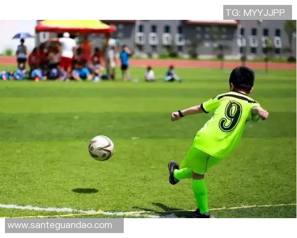 南京足球队挑战赛表现分析与状态评估探讨