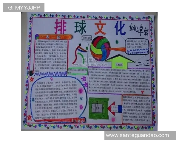 上海排球队的意识探讨与发展路径研究聚焦排球运动的未来与挑战