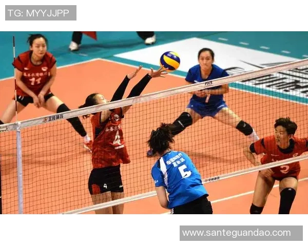 杭州排球队排球意识创新高引发全网热议与关注 杭州排球队排球意识创新高引发全网热议与关注