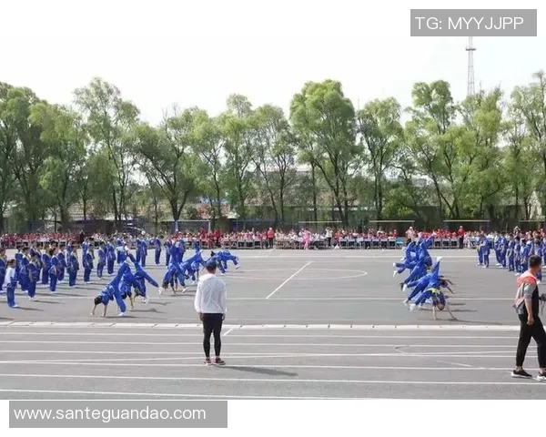 对话王强:回顾排球生涯的辉煌与挑战与未来展望 对话王强:回顾排球生涯的辉煌与挑战与未来展望