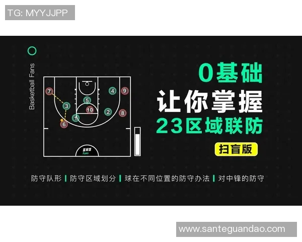 深入分析北京排球队区域防守战术的特点与应用策略