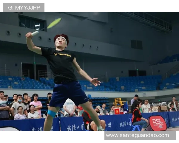 武汉羽毛球队实力分析与表现评估:数据透视与未来展望