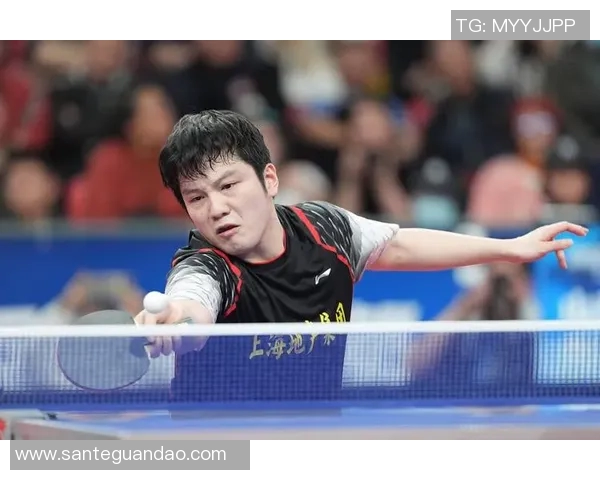 深圳乒乓球队在大满贯赛事中的实力展现与未来发展潜力分析