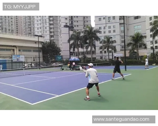 深度解析深圳网球队实力对比及未来发展潜力分析