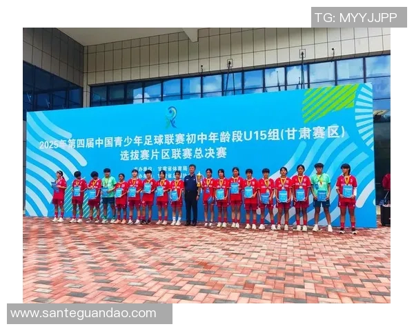 足球明星为甘肃灾后重建捐款情况调查与分析