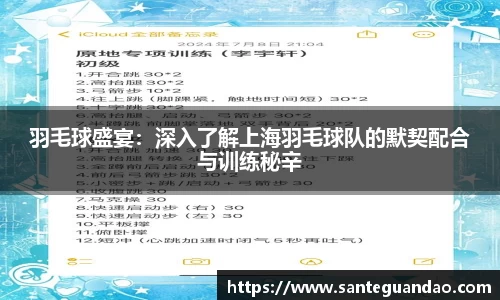 羽毛球盛宴：深入了解上海羽毛球队的默契配合与训练秘辛