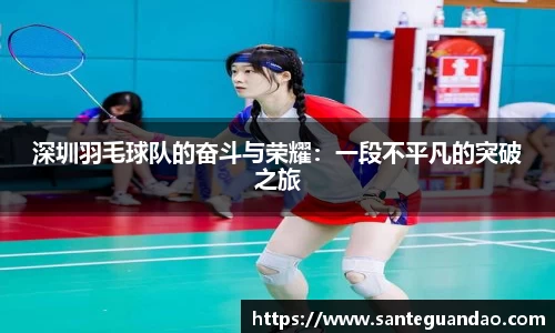 深圳羽毛球队的奋斗与荣耀：一段不平凡的突破之旅