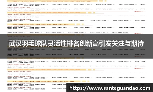 武汉羽毛球队灵活性排名创新高引发关注与期待