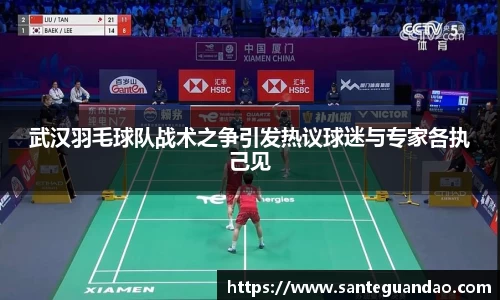 武汉羽毛球队战术之争引发热议球迷与专家各执己见