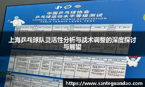 上海乒乓球队灵活性分析与战术调整的深度探讨与展望