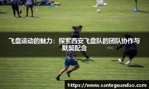 飞盘运动的魅力：探索西安飞盘队的团队协作与默契配合